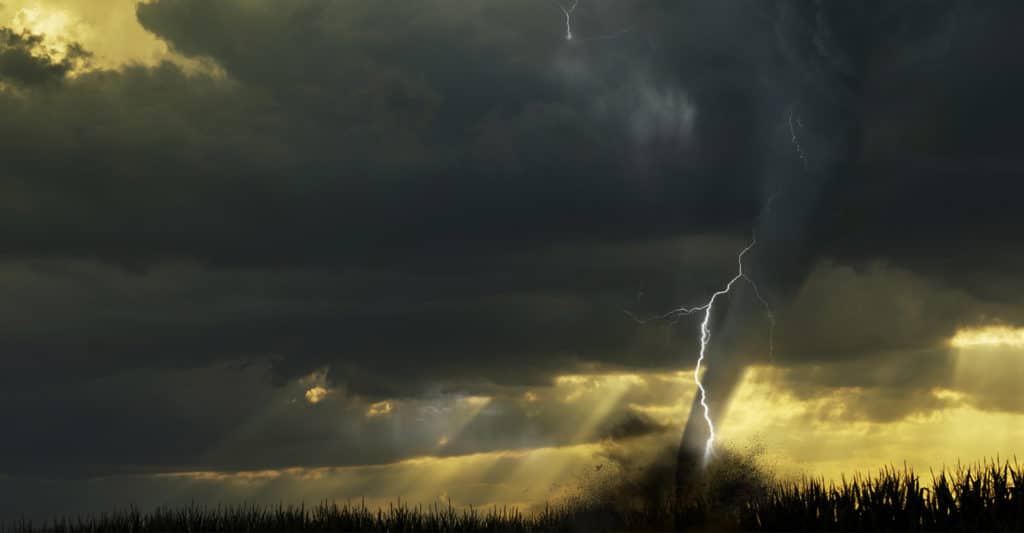 Tornado or Extreme Storm - Natural Disaster Business Survival Series