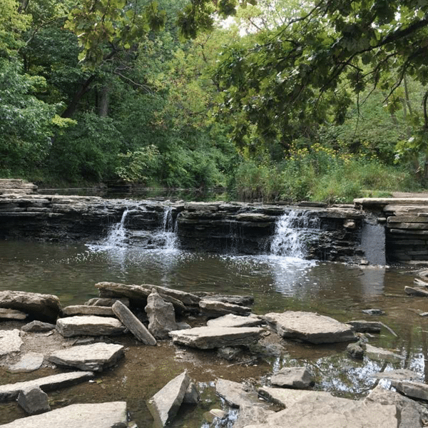 Small Waterfall with Green Trees Surrounding